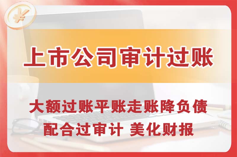 偃师上市公司审计过账